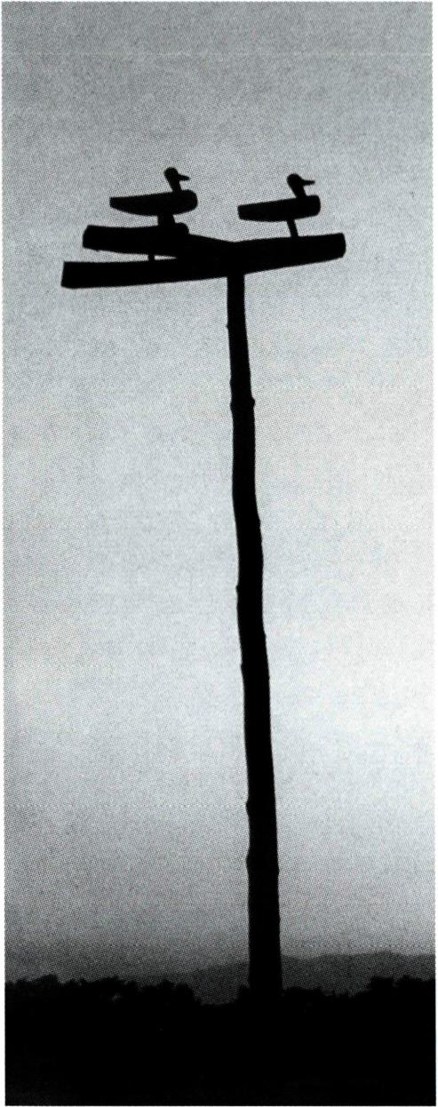 잡귀와 부정을 막기 위해 동네 어귀에 세 운 솟대.