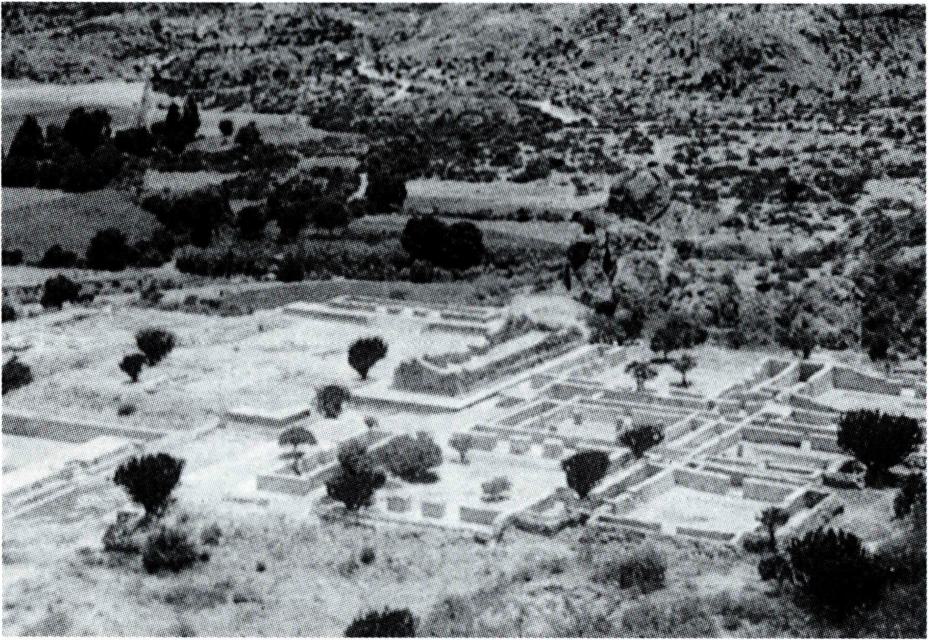 정치적 ·
종교적 중심부였던 멕시코 야굴의 도시 유적.