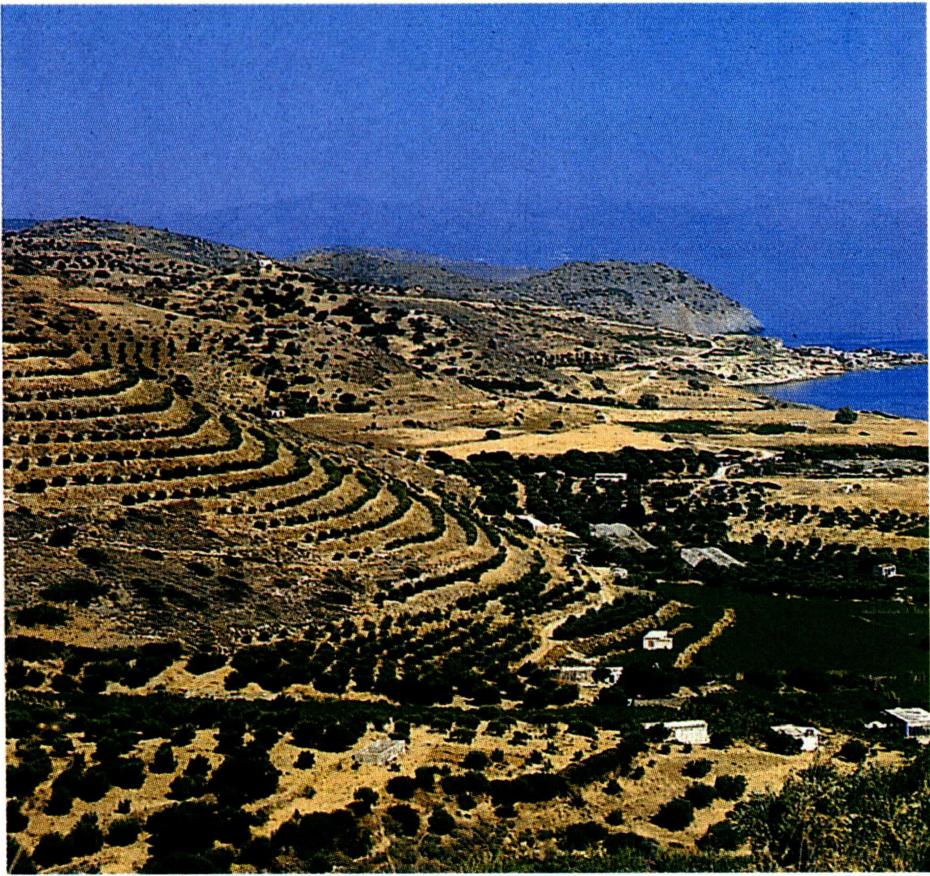 디도가 활약했던 그레데 섬 전경(왼쪽)과, 디도서의 저자로 여겨져 온 사도 바오로(파리 클뤼니 박물관) .