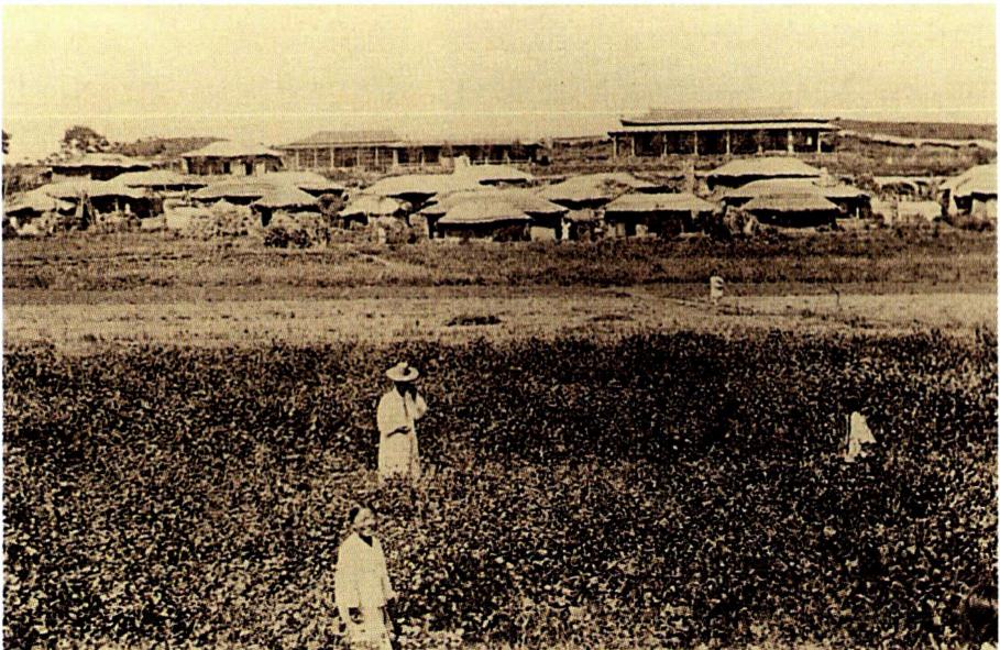 ▲ 마렴과 머내 사이의 언덕에 세워진 매화동 본당과 사제관.