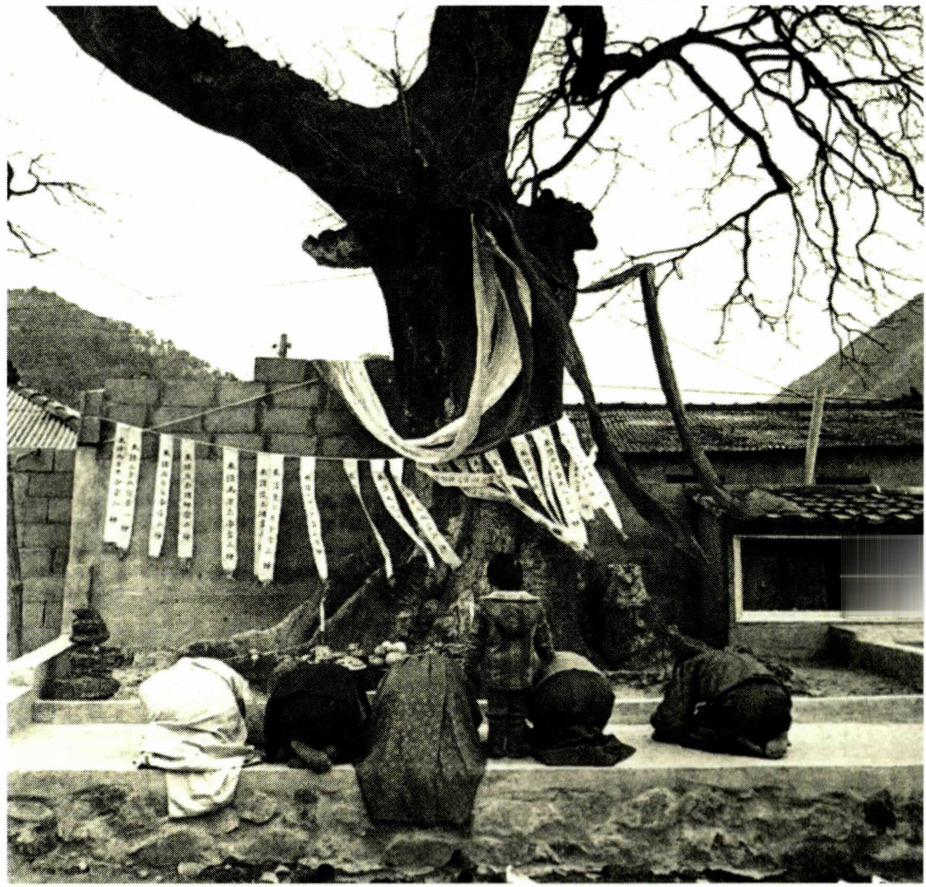 체계적인 형식을 갖추지 못한 자연적인 종교 현상을 민간 신앙이라 한다.