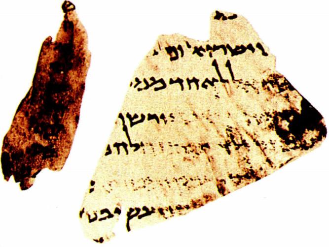 민수기 民數記 〔히〕בַּמִּדְבָּר 〔라〕Liber Numeri 〔영〕Book of Numbers