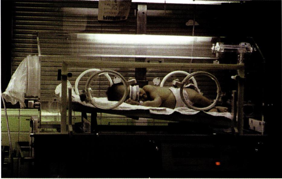 인간 존엄성의 근거에서 필연적으로 비롯되는 생명권은 점점 더 위협을 받게 될 것이므로, 다른 어느 것들보다 우선적으로 존중되어야 한다.