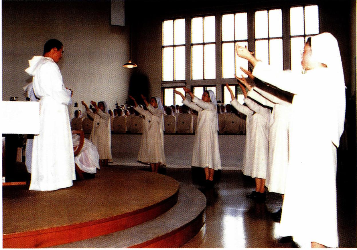 수도 선서란 세 가지 복음적 권고를 지킬 것을 공적으로 선서하는 것이다.