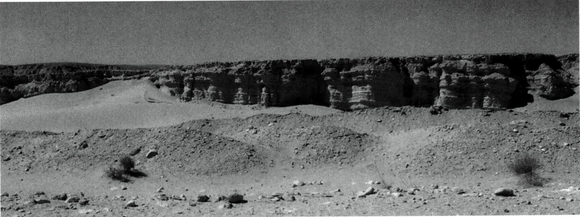 모세가 십계명을 받기 위해 도착했던 시나이 광야.