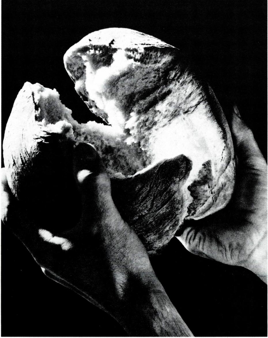 미사 중 빵을 쪼개는 예식은 성전에 근거해 시작되었다.