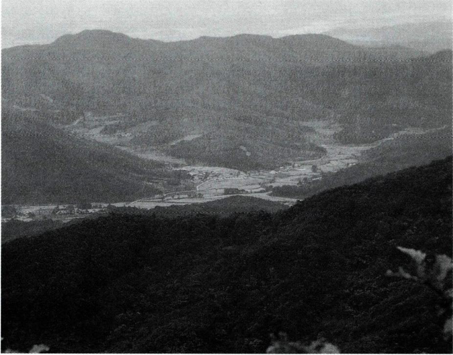 주어사 · 천진암 강학 走魚寺 · 天真菴講學