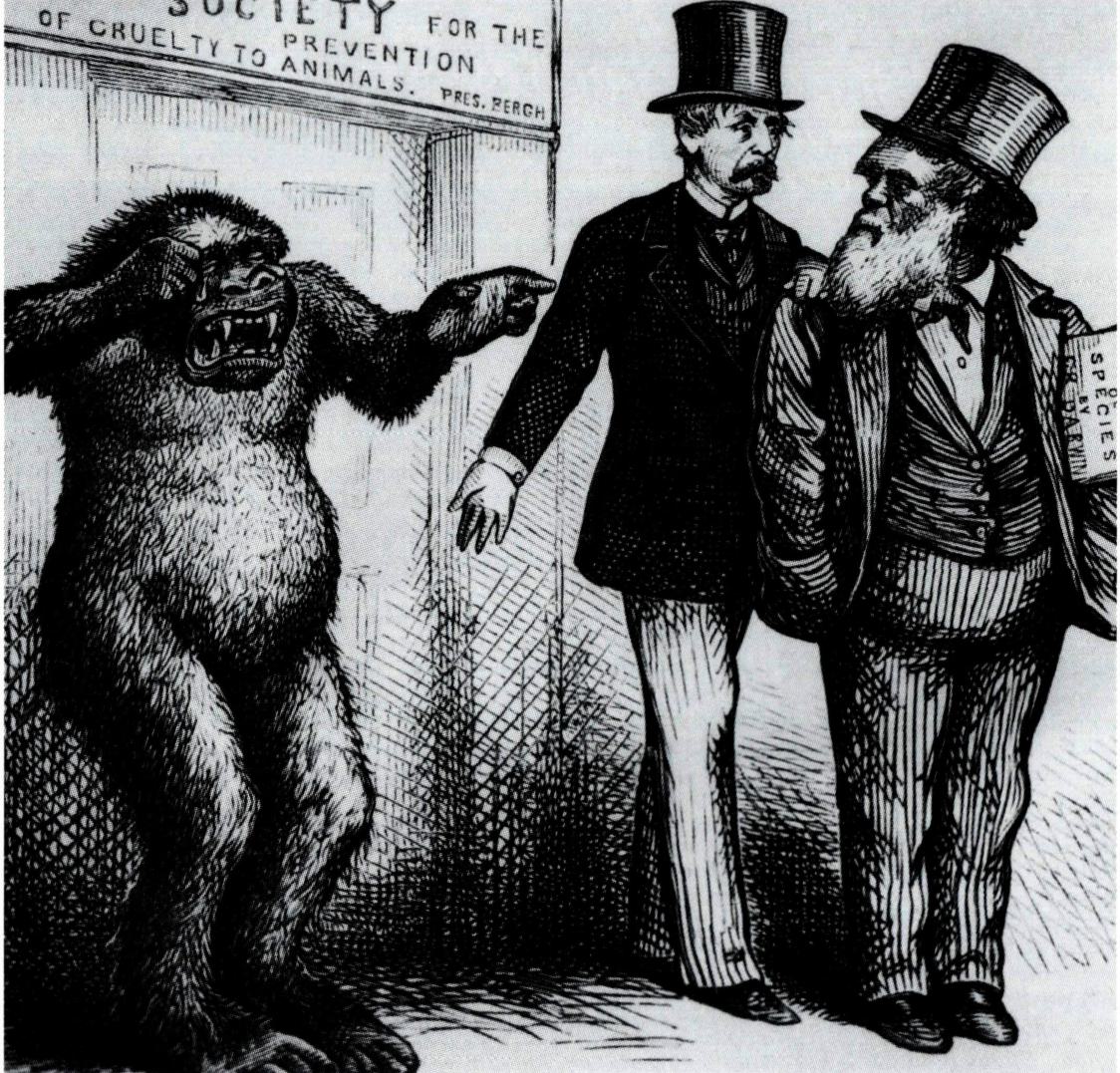 다원의 진화론 주장을 비판하는 삽화.