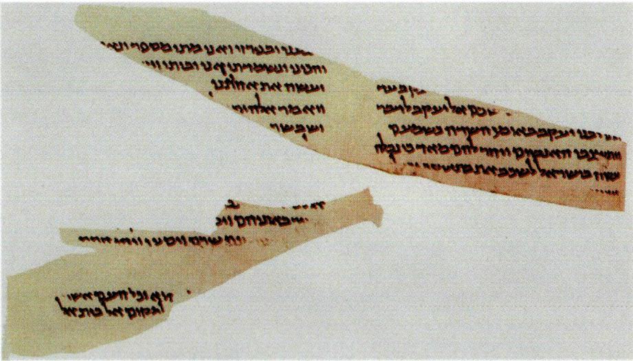 룸란에서 발견된 창세기의 일부.