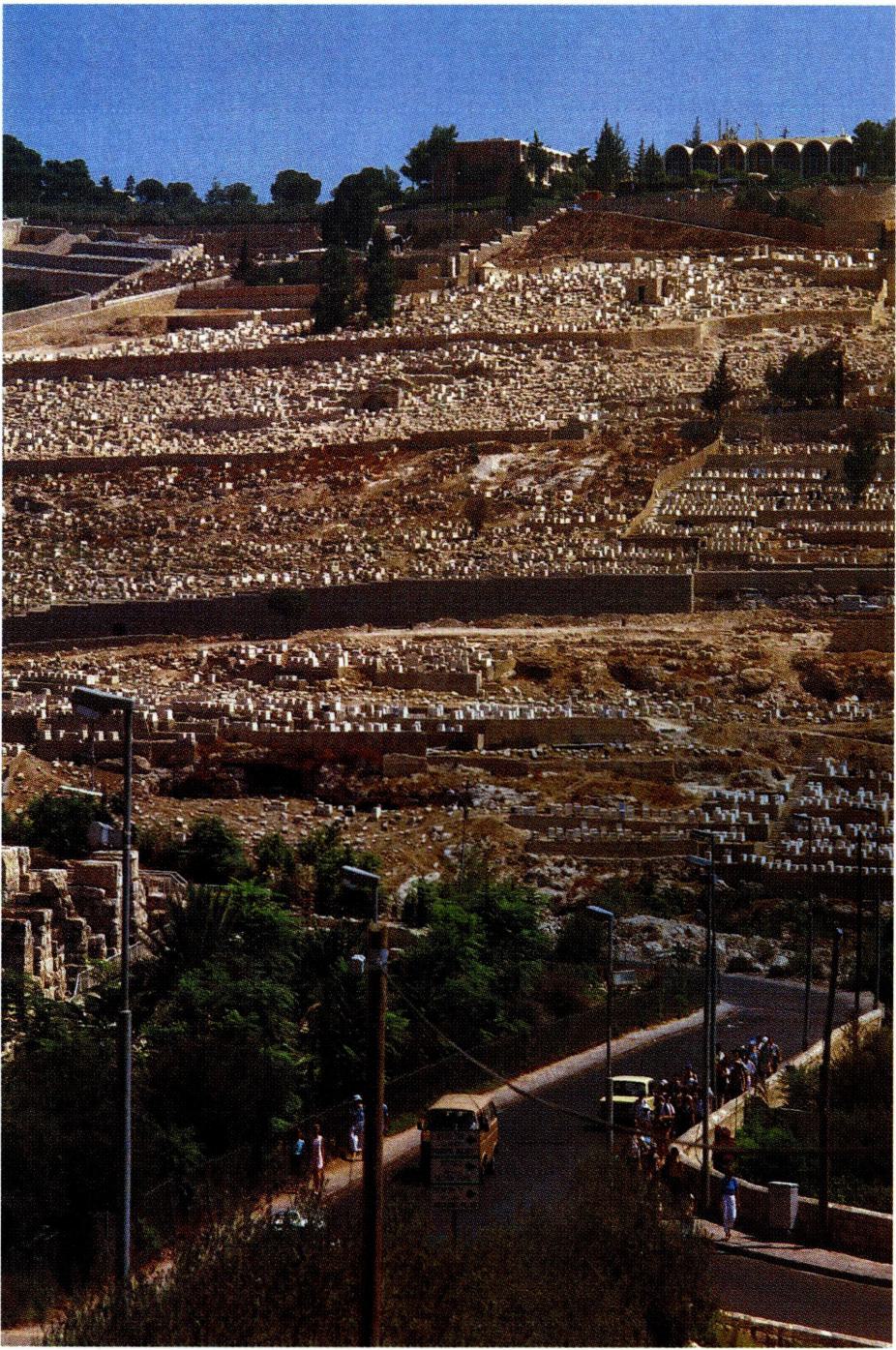 예루살렘 남쪽 언덕에서 바라본 키드론 골짜기.